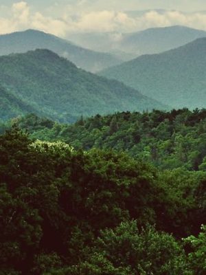 5a03f2c085d84ade5055783156ed0e07 (1)